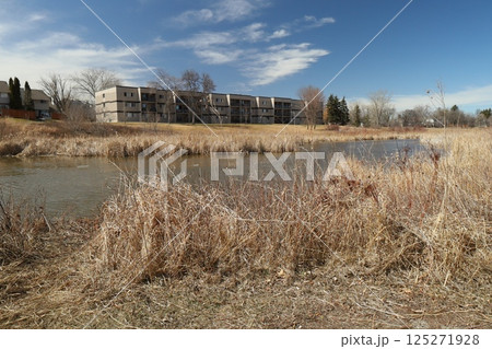 dry grass along a stream in spring 125271928