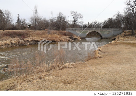 bridge over the river in the park in early spring 125271932