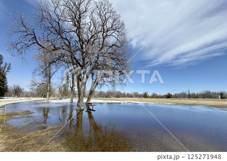 spring park in spring, during the flood 125271948