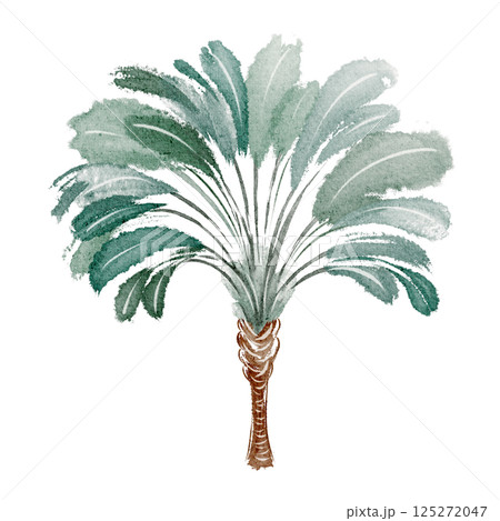 Watercolor illustration of a tropical palm tree with vibrant green leaves. Hand-drawn exotic plant design for summer decor, beach posters, or botanical artwork. Perfect for travel and vacation themes. Watercolor illustration of a tropical palm tree with vibrant green leaves. Hand-drawn exotic plant design for summer decor, beach posters, or botanical artwork. Perfect for travel and vacation themes. 125272047