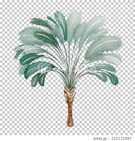 Watercolor illustration of a tropical palm tree with vibrant green leaves. Hand-drawn exotic plant design for summer decor, beach posters, or botanical artwork. Perfect for travel and vacation themes. Watercolor illustration of a tropical palm tree with vibrant green leaves. Hand-drawn exotic plant design for summer decor, beach posters, or botanical artwork. Perfect for travel and vacation themes. 125272047
