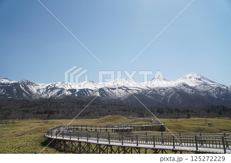 知床五湖から見える積雪の知床連山と青空と遊歩道 125272229