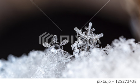 snowflakes, winter card, crystals of snow 125272438