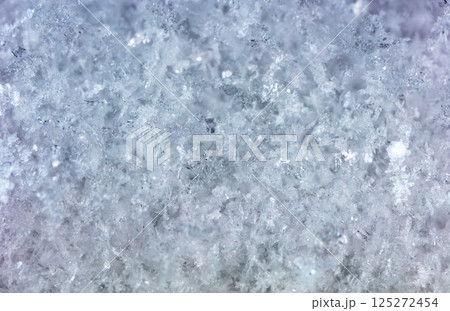 snowflakes, winter card, crystals of snow snowflakes, winter card, crystals of snow 125272454