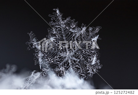 snowflakes, winter card, crystals of snow 125272482