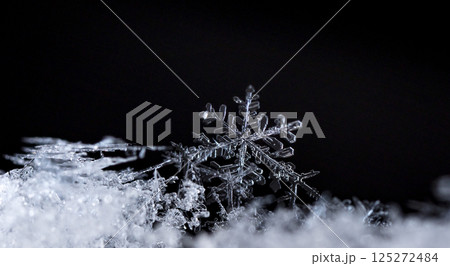 snowflakes, winter card, crystals of snow 125272484