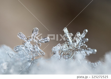 snowflakes, winter card, crystals of snow 125272525