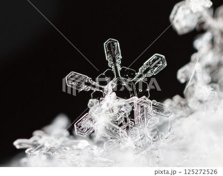 snowflakes, winter card, crystals of snow 125272526