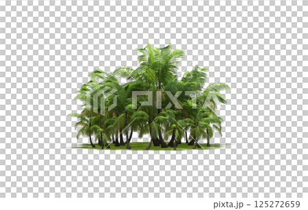 group of trees isolated on a transparent background, forest, sketch, outline illustration, cg render group of trees isolated on a transparent background, forest, sketch, outline illustration, cg render 125272659