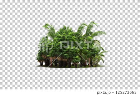 group of trees isolated on a transparent background, forest, sketch, outline illustration, cg render 125272665