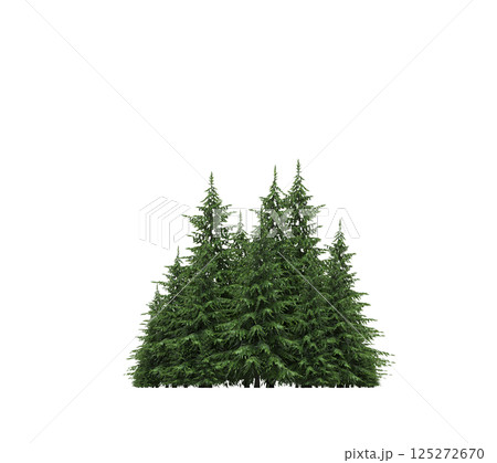 group of trees isolated on a transparent background, forest, sketch, outline illustration, cg render group of trees isolated on a transparent background, forest, sketch, outline illustration, cg render 125272670