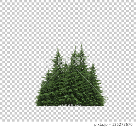 group of trees isolated on a transparent background, forest, sketch, outline illustration, cg render group of trees isolated on a transparent background, forest, sketch, outline illustration, cg render 125272670