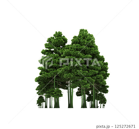 group of trees isolated on a transparent background, forest, sketch, outline illustration, cg render 125272671
