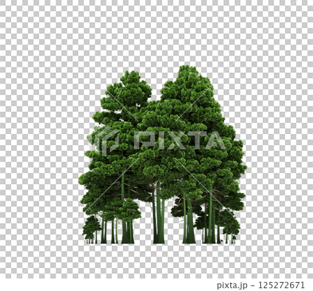 group of trees isolated on a transparent background, forest, sketch, outline illustration, cg render 125272671