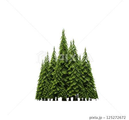 group of trees isolated on a transparent background, forest, sketch, outline illustration, cg render 125272672