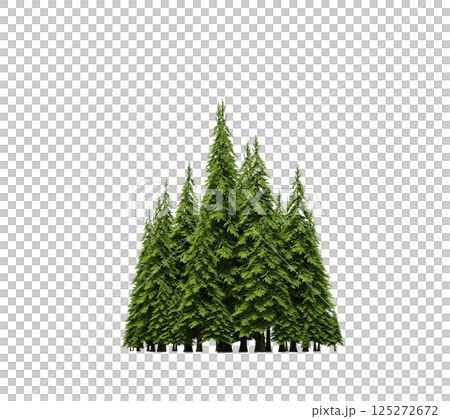 group of trees isolated on a transparent background, forest, sketch, outline illustration, cg render 125272672