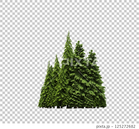 group of trees isolated on a transparent background, forest, sketch, outline illustration, cg render group of trees isolated on a transparent background, forest, sketch, outline illustration, cg render 125272682