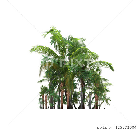 group of trees isolated on a transparent background, forest, sketch, outline illustration, cg render 125272684