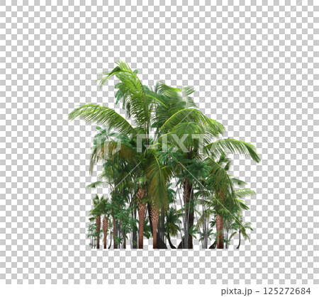 group of trees isolated on a transparent background, forest, sketch, outline illustration, cg render 125272684