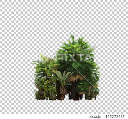 group of trees isolated on a transparent background, forest, sketch, outline illustration, cg render 125272685