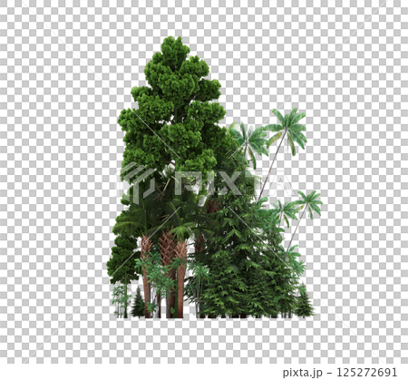 group of trees isolated on a transparent background, forest, sketch, outline illustration, cg render group of trees isolated on a transparent background, forest, sketch, outline illustration, cg render 125272691