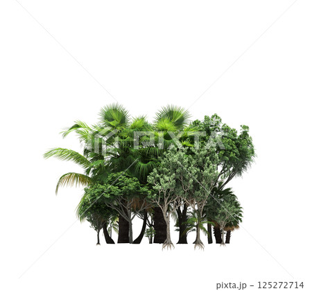 group of trees isolated on a transparent background, forest, sketch, outline illustration, cg render 125272714
