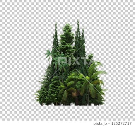group of trees isolated on a transparent background, forest, sketch, outline illustration, cg render 125272717