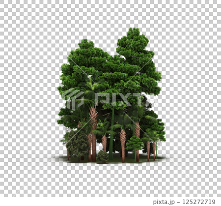 group of trees isolated on a transparent background, forest, sketch, outline illustration, cg render group of trees isolated on a transparent background, forest, sketch, outline illustration, cg render 125272719