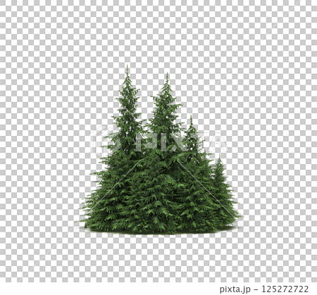 group of trees isolated on a transparent background, forest, sketch, outline illustration, cg render 125272722