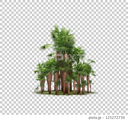 group of trees isolated on a transparent background, forest, sketch, outline illustration, cg render 125272730