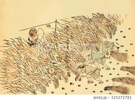 江戸の稲作風景のゆる画素材5 125272781