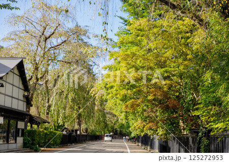 風情のある武家屋敷通りの風景 125272953