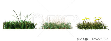wild field grass, isolated on a transparent background, 3D illustration, cg render wild field grass, isolated on a transparent background, 3D illustration, cg render 125273092