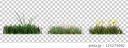 wild field grass, isolated on a transparent background, 3D illustration, cg render wild field grass, isolated on a transparent background, 3D illustration, cg render 125273092