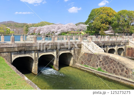 【岡山県】満開の桜と酒津公園 高梁川東西用水取配水施設 【岡山県】満開の桜と酒津公園 高梁川東西用水取配水施設 125273275