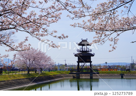 桜満開の日の唐古・鍵遺跡 桜満開の日の唐古・鍵遺跡 125273789