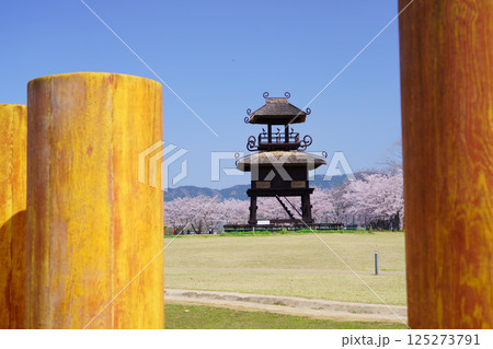 桜満開の日の唐古・鍵遺跡 125273791