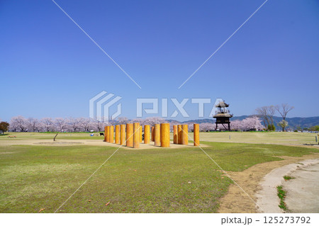 桜満開の日の唐古・鍵遺跡 125273792