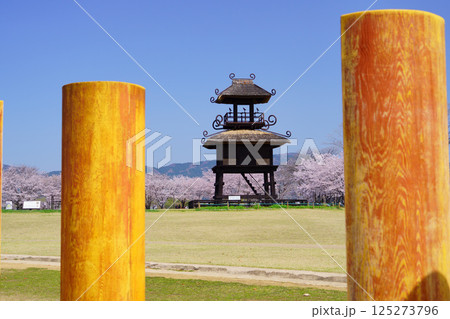 桜満開の日の唐古・鍵遺跡 桜満開の日の唐古・鍵遺跡 125273796