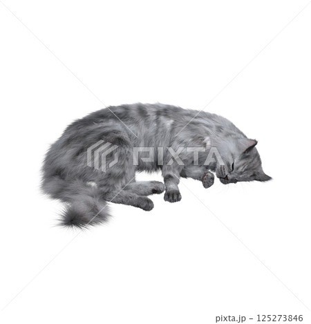cat isolate on a transparent background, 3d illustration, cg render 125273846
