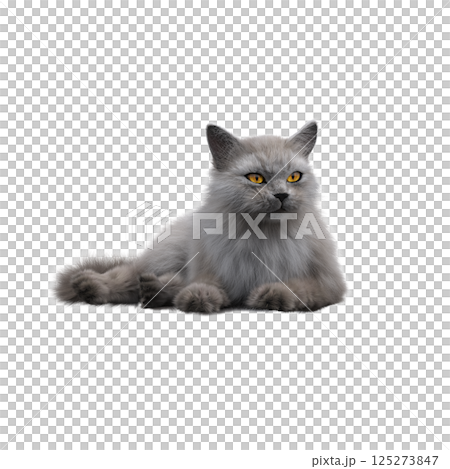 cat isolate on a transparent background, 3d illustration, cg render 125273847