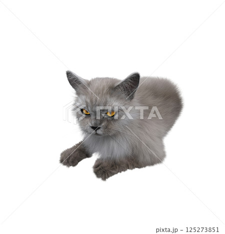 cat isolate on a transparent background, 3d illustration, cg render 125273851