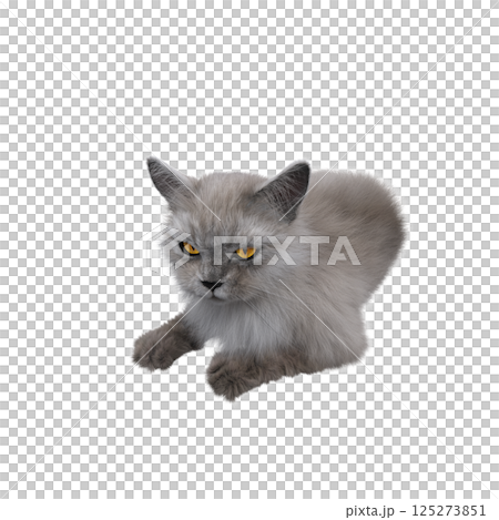 cat isolate on a transparent background, 3d illustration, cg render 125273851