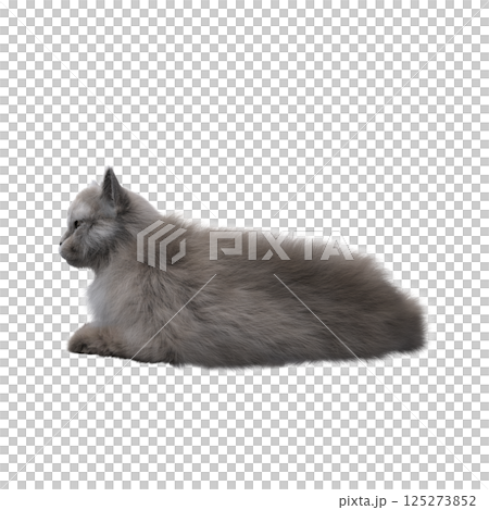 cat isolate on a transparent background, 3d illustration, cg render 125273852