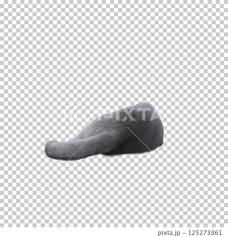 cat isolate on a transparent background, 3d illustration, cg render cat isolate on a transparent background, 3d illustration, cg render 125273861