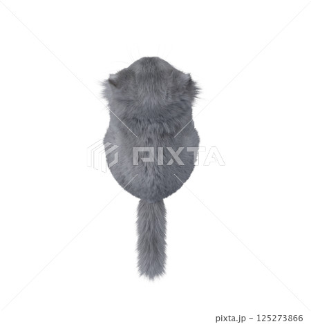 cat isolate on a transparent background, 3d illustration, cg render cat isolate on a transparent background, 3d illustration, cg render 125273866