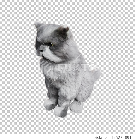 cat isolate on a transparent background, 3d illustration, cg render 125273891