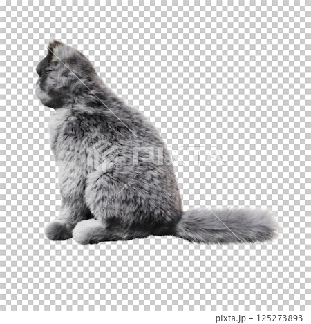 cat isolate on a transparent background, 3d illustration, cg render 125273893