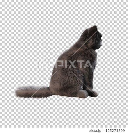 cat isolate on a transparent background, 3d illustration, cg render cat isolate on a transparent background, 3d illustration, cg render 125273899