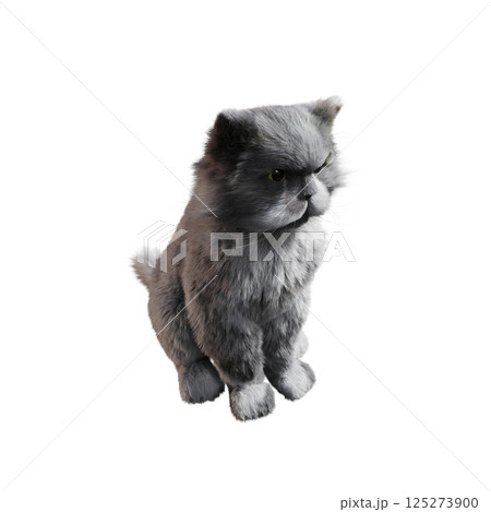 cat isolate on a transparent background, 3d illustration, cg render 125273900